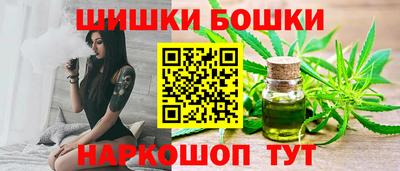 мдпв Кингисепп