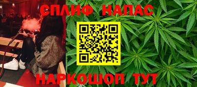 мдпв Кингисепп
