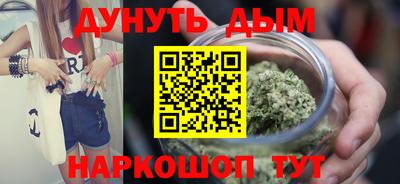 мдпв Кингисепп