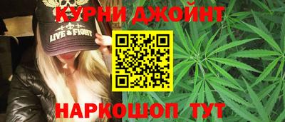 мдпв Кингисепп