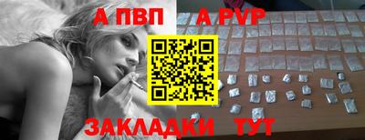 мдпв Кингисепп