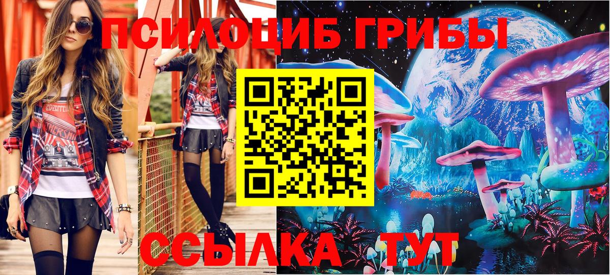 Галлюциногенные грибы мухоморы Курчалой