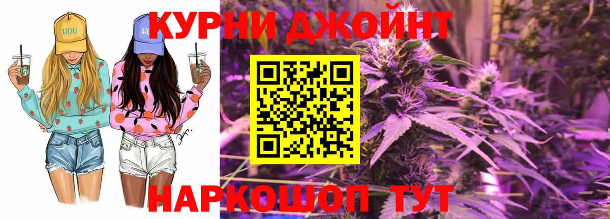 Каннабис индика Курчалой